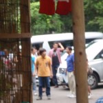 遊びに行こ!ほとチャン②